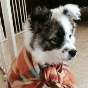 Meet your Posher, Cambri